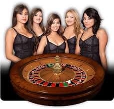 wdsukses Dragon Tiger live studio showing dealer, cards, and betting interface on mobile phone